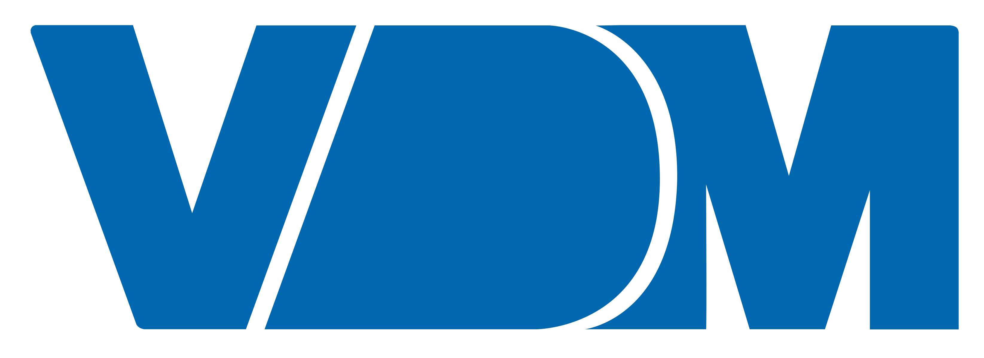 VDM SAS - Parent Company